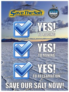 SavetheSalt - Flier