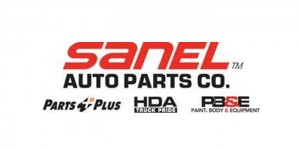 Sanel - 2017 - Logo